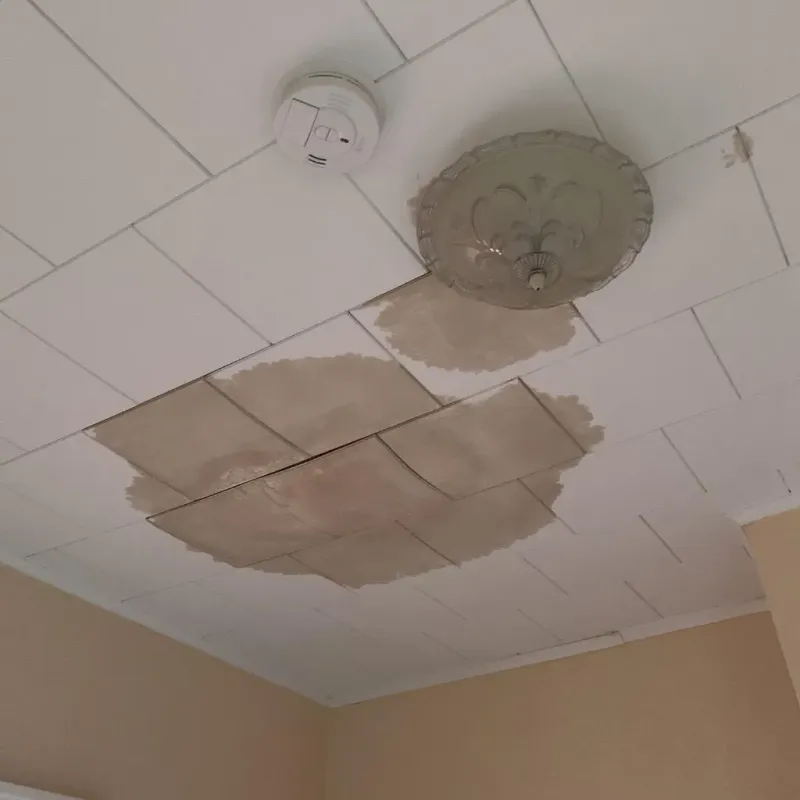 Ceiling Water Damage Repair in Chamberlayne, VA