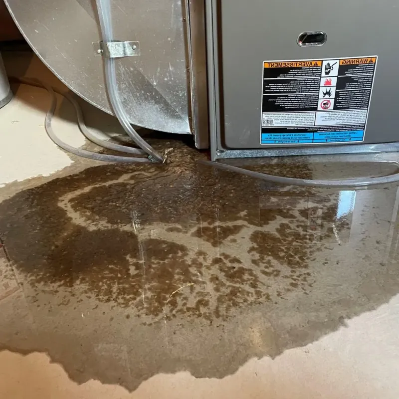 Pipe Burst and Leak Restoration in Chamberlayne, VA