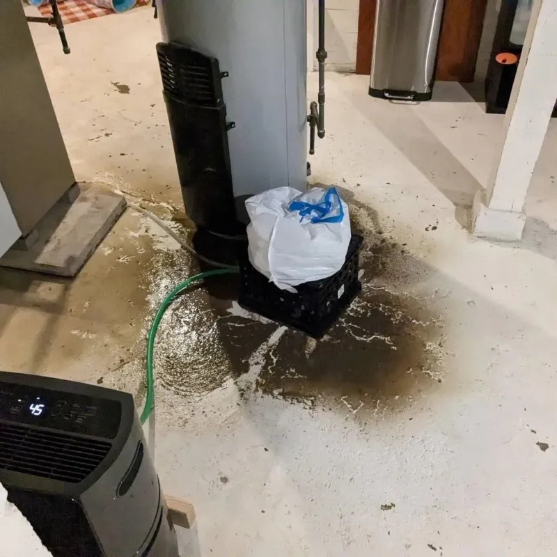 Sewage Backup Cleanup Service in Chamberlayne, VA